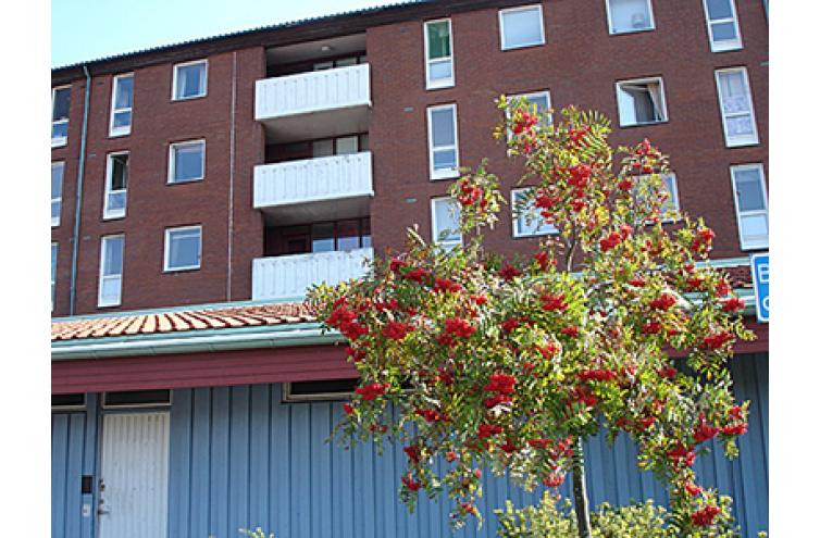 Lägenhet på Långströmsgatan 11 i Göteborg